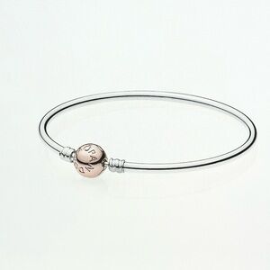 NWOT Pandora Moments Bangle with Two Stoppers